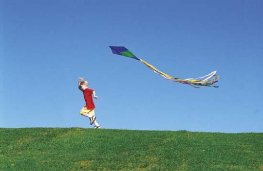 a boy flying kite